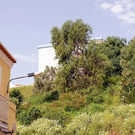 Vieira I Setubal